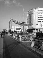 平阳公司注册